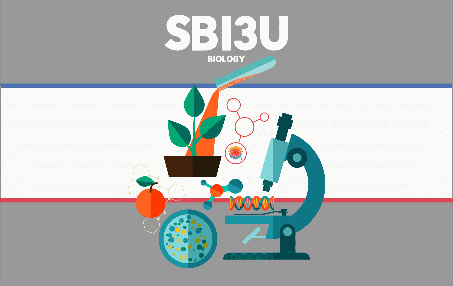 SBI3U – Biology – Grade 11 – University