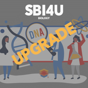 Upgrade SBI4U