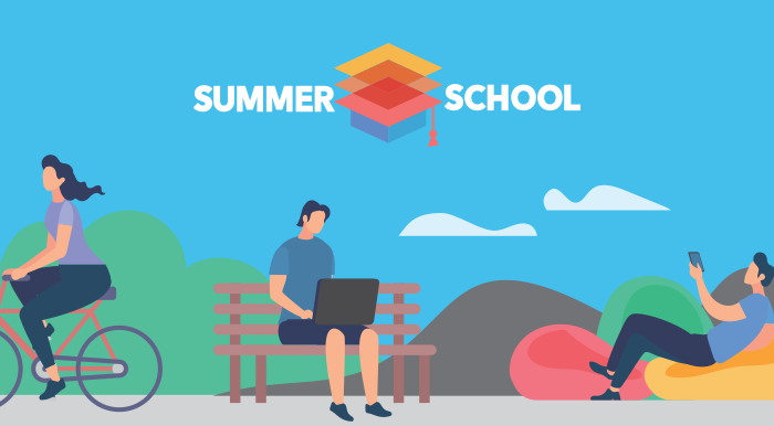 Summer School Online