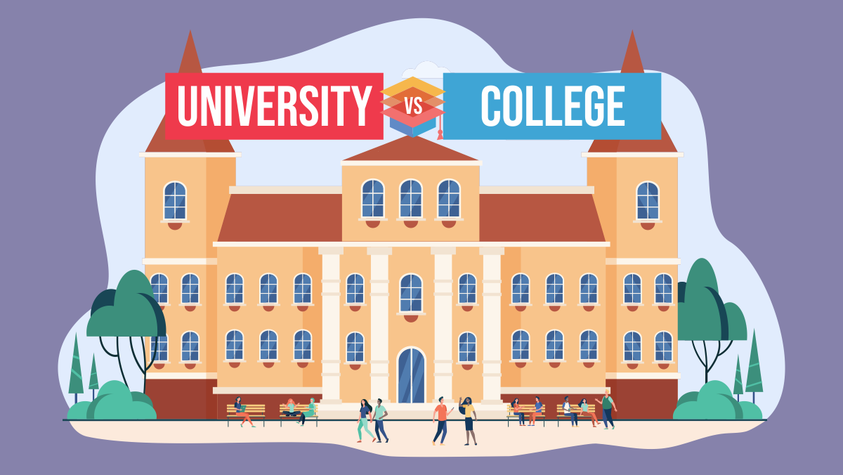 College or University